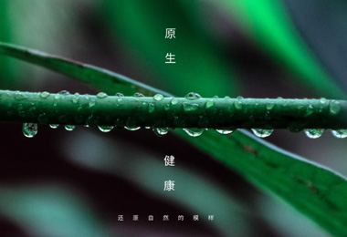 石家莊包裝設計定制_石家莊包裝設計定制公司